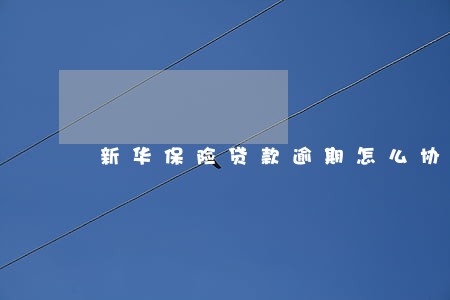 新华保险贷款逾期怎么协商 新华保险贷款逾期怎么协商