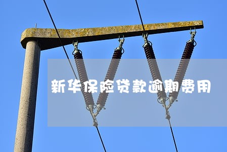 新华保险贷款逾期费用 新华保险贷款逾期费用