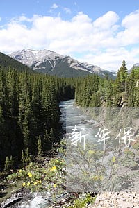 新华保险贷款逾期退保 新华保险贷款逾期退保