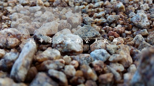 新华保险逾期会怎么样