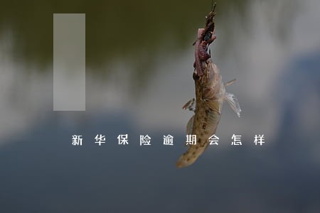 新华保险逾期会怎样 新华保险逾期会怎样