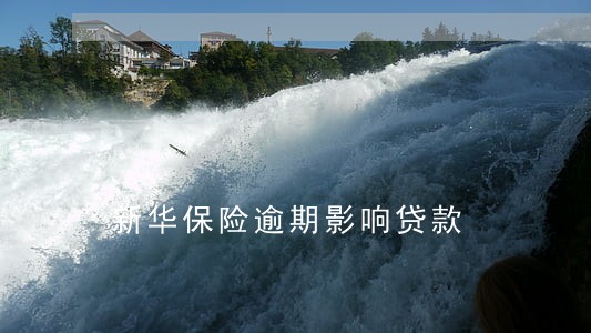 新华保险逾期影响贷款 新华保险逾期影响贷款