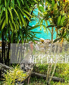 新华保险逾期未交 新华保险逾期未交