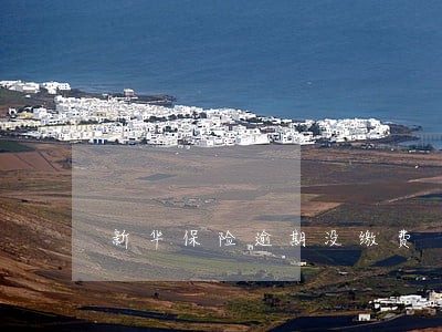 新华保险逾期没缴费 新华保险逾期没缴费