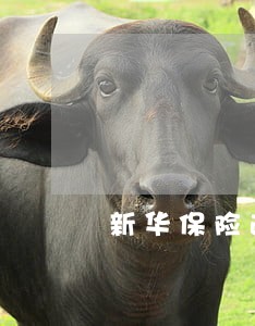 新华保险逾期缴费 新华保险逾期缴费