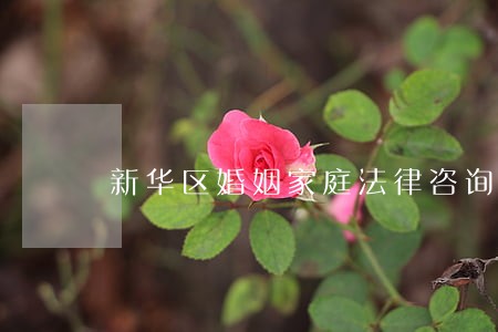 新华区婚姻家庭法律咨询 新华区婚姻家庭法律咨询