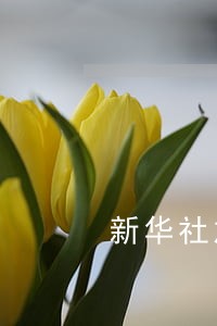 新华社加强信贷逾期管理 新华社加强信贷逾期管理