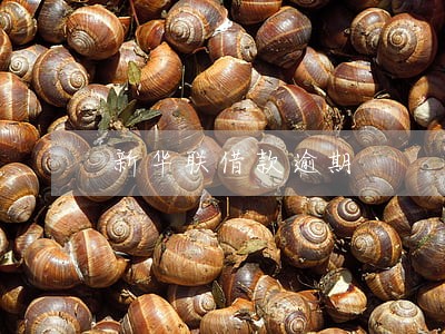 新华联借款逾期 新华联借款逾期