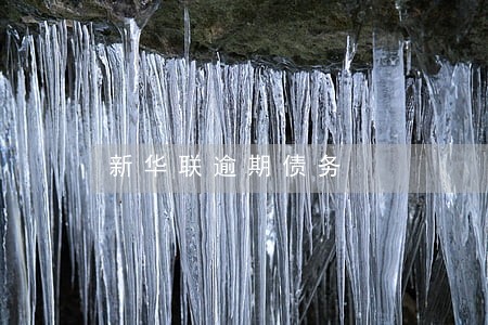 新华联逾期债务 新华联逾期债务
