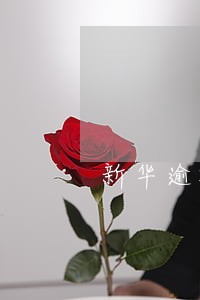 新华逾期谈二次分期要开什么证明 新华逾期谈二次分期要开什么证明