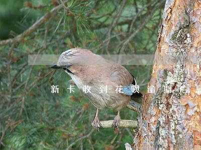 新卡收到花呗逾期信息怎么回事 新卡收到花呗逾期信息怎么回事