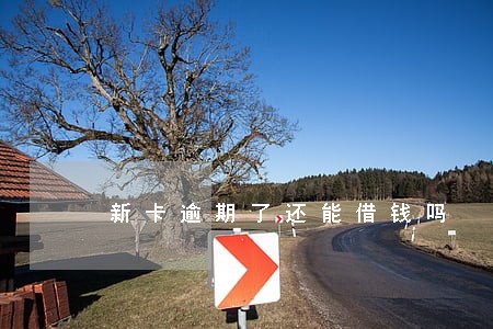 新卡逾期了还能借钱吗 新卡逾期了还能借钱吗