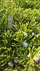 新卡逾期立案抓人需要多长时间 新卡逾期立案抓人需要多长时间