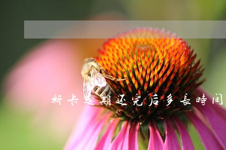新卡逾期还完后多长时间能买车 新卡逾期还完后多长时间能买车