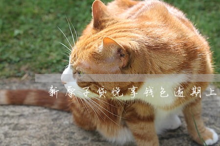 新原子贷悦享钱包逾期上征信吗 新原子贷悦享钱包逾期上征信吗