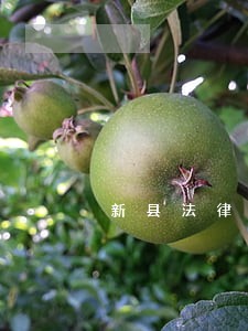 新县法律援助中心大厅图片 新县法律援助中心大厅图片