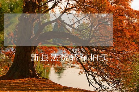 新县法院轿车拍卖 新县法院轿车拍卖