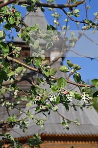 新发生贷款逾期率计算 新发生贷款逾期率计算