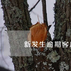 新发生逾期客户资产质量变动情况 新发生逾期客户资产质量变动情况