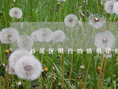 新吴区附近的债务律师咨询 新吴区附近的债务律师咨询