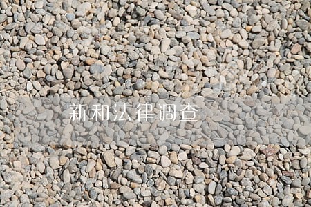 新和法律调查 新和法律调查