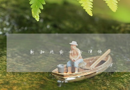 新和网贷纠纷律师 新和网贷纠纷律师