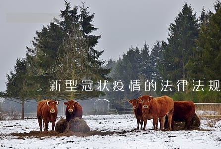 新型冠状疫情的法律法规