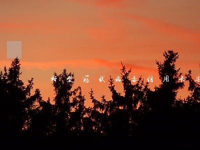 新型冠状病毒信用卡逾期了 新型冠状病毒信用卡逾期了