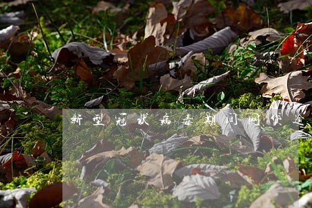 新型冠状病毒期间网贷逾期了 新型冠状病毒期间网贷逾期了