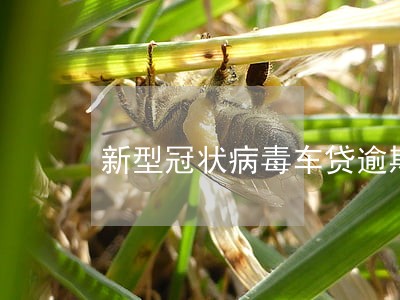 新型冠状病毒车贷逾期 新型冠状病毒车贷逾期