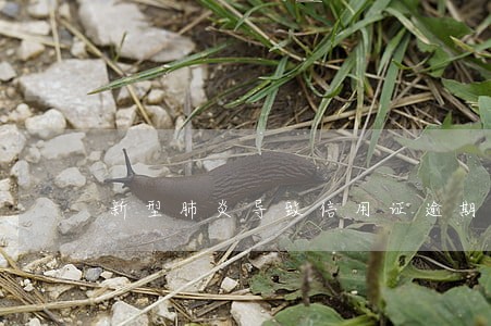 新型肺炎导致信用证逾期