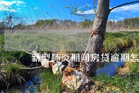 新型肺炎期间房贷逾期怎么办 新型肺炎期间房贷逾期怎么办