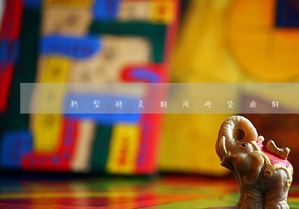 新型肺炎期间网贷逾期 新型肺炎期间网贷逾期