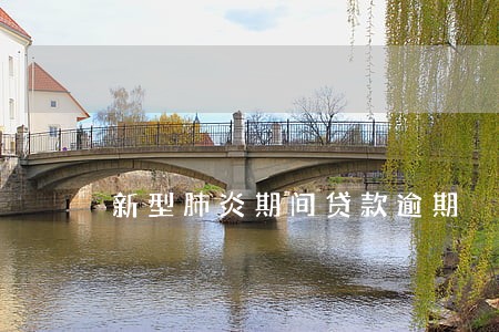 新型肺炎期间贷款逾期 新型肺炎期间贷款逾期