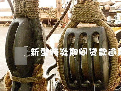 新型肺炎期间贷款逾期怎么办 新型肺炎期间贷款逾期怎么办