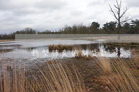 新型肺炎逾期贷款 新型肺炎逾期贷款