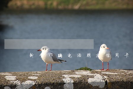 新型诈骗电话朋友信用卡逾期 新型诈骗电话朋友信用卡逾期
