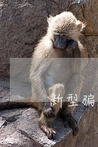 新型骗局网贷逾期 新型骗局网贷逾期