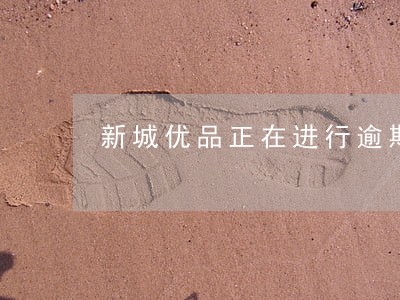新城优品正在进行逾期计算请稍后 新城优品正在进行逾期计算请稍后