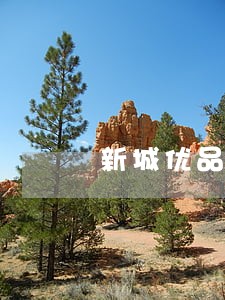 新城优品逾期多久打电话 新城优品逾期多久打电话