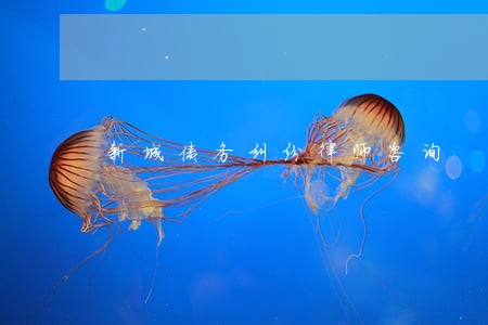 新城债务纠纷律师咨询 新城债务纠纷律师咨询