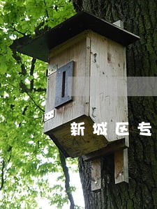 新城区专业执行律师 新城区专业执行律师