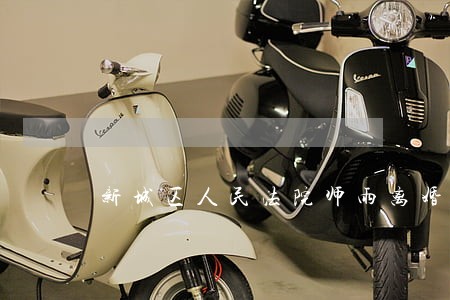 新城区人民法院师雨离婚诉讼