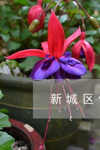 新城区债权债务纠纷律师查询 新城区债权债务纠纷律师查询