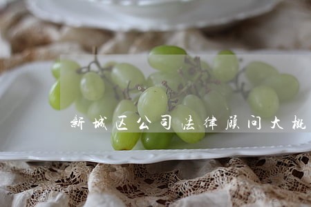 新城区公司法律顾问大概多少钱 新城区公司法律顾问大概多少钱