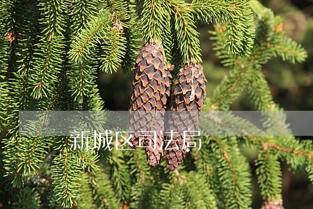 新城区司法局
