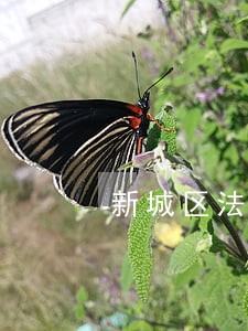 新城区法律援助中心在哪 新城区法律援助中心在哪