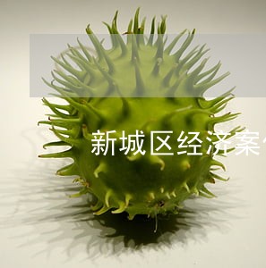 新城区经济案件律师服务热线