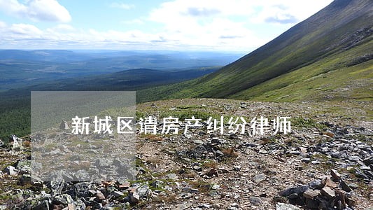 新城区请房产纠纷律师 新城区请房产纠纷律师