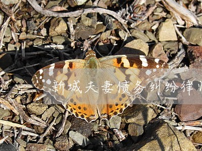 新城夫妻债务纠纷律师哪里找 新城夫妻债务纠纷律师哪里找